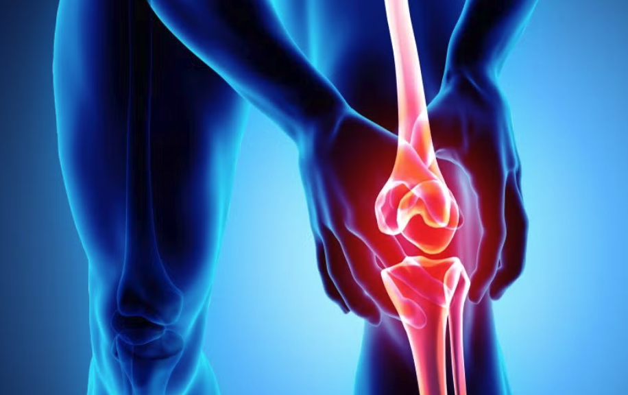 Beyond Weight Loss: French Biotech Pioneers First-in-Class GLP-1 Therapy for Joint Disease as Osteoarthritis Market Awaits Its First Disease-Modifying Drug